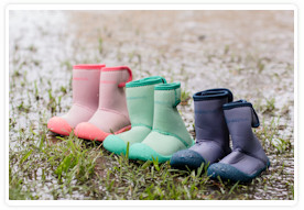 GrubbyBub product image